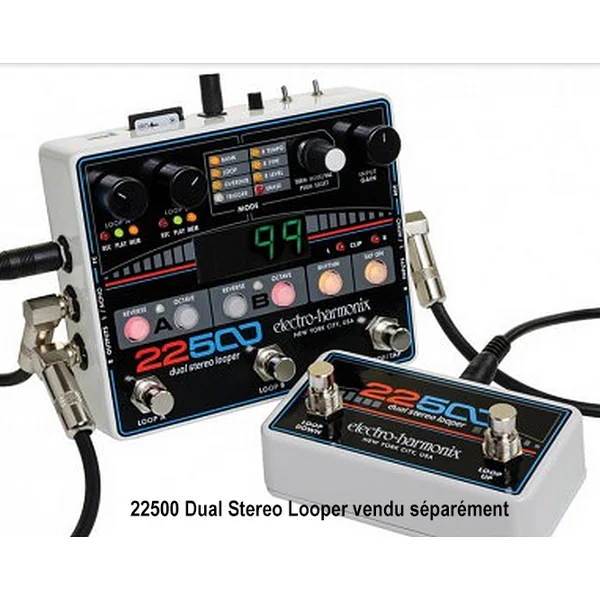 22500 Foot Controller