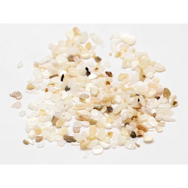 50 grammes de fragments de coquillages pour Jesmonite - 2-3 mm