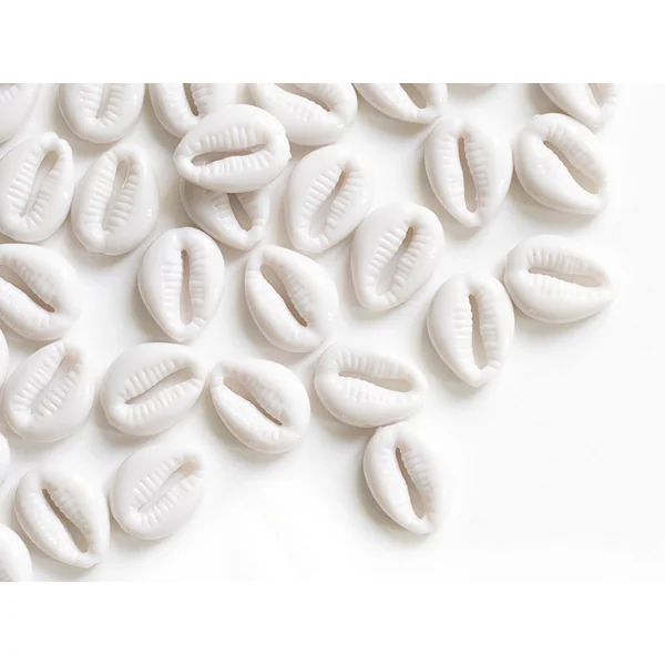 50 perles coquillages cauri en plastique - blanc