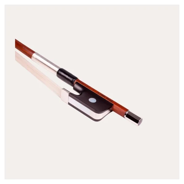 ARCO CELLO ALFRED KNOLL Ce184K