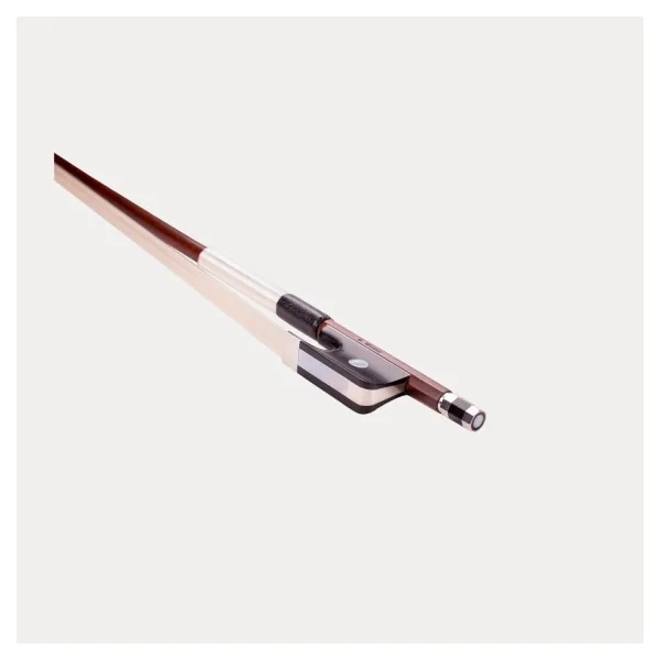 ARCO VIOLA G. WERNER AVANCÉ