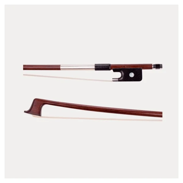 ARCO VIOLA G. WERNER AVANCÉ
