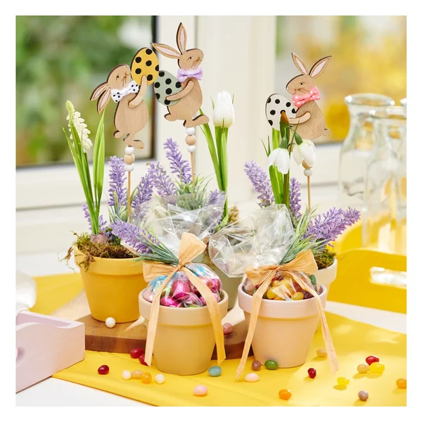 Assortiment de fleurs à bulbe de printemps