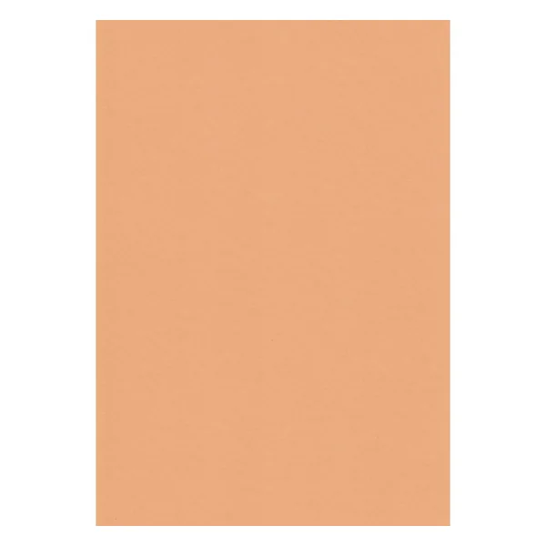 Assortiment de papier cartonné « Tons terre »