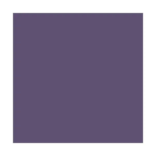 AVI Colore la Vie Peinture Toutes pièces Sirop de violette