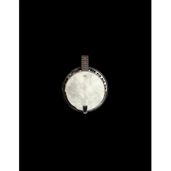 BANJO 5 CORDES PILGRIM JUBILEE RESONATOR VPB018