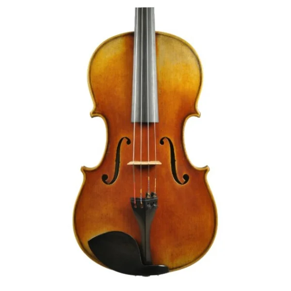 BARBADA VIOLA C:DIX GUARNERI HILL BANUS (336653)