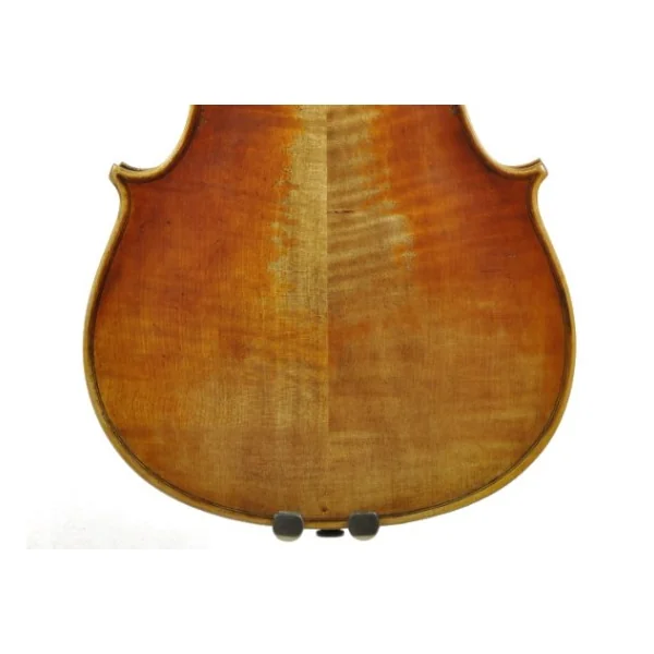 BARBADA VIOLA C:DIX GUARNERI HILL BANUS (336653)