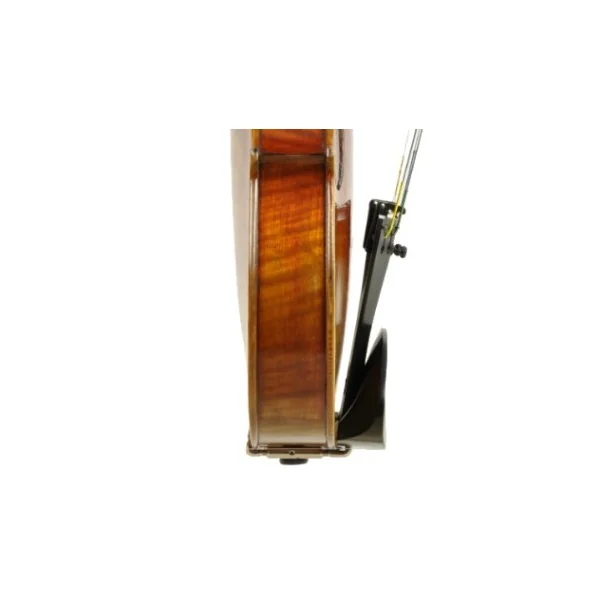 BARBADA VIOLI FLESCH BANUS (314311)