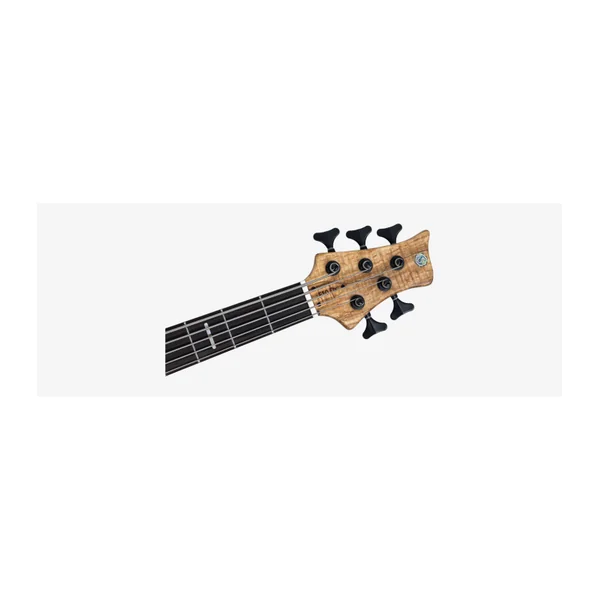 Basse Electrique 5 Cordes M. MILLER F10 DX 5 NT (Spalted Maple Top)