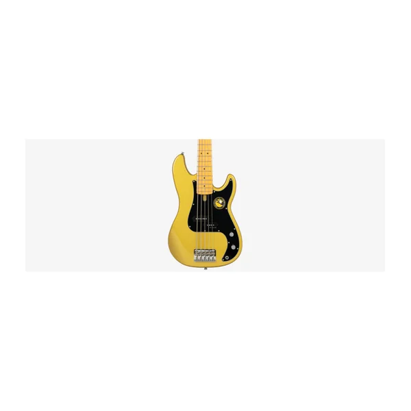 Basse Electrique 5 Cordes M. Miller P5 Alder-5 MGO