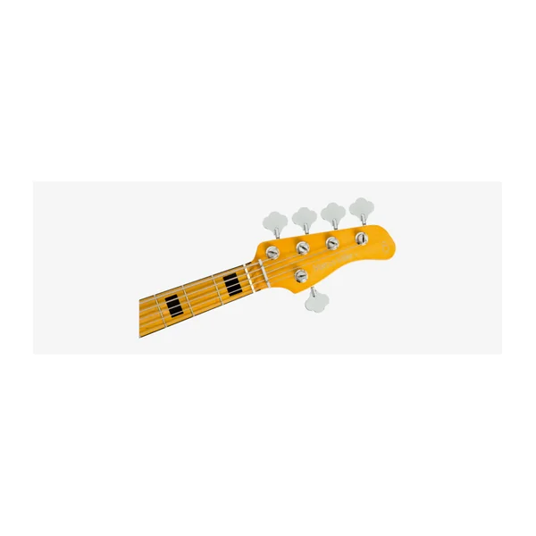 Basse Electrique 5 Cordes M. MILLER V5 Alder-5 CAR