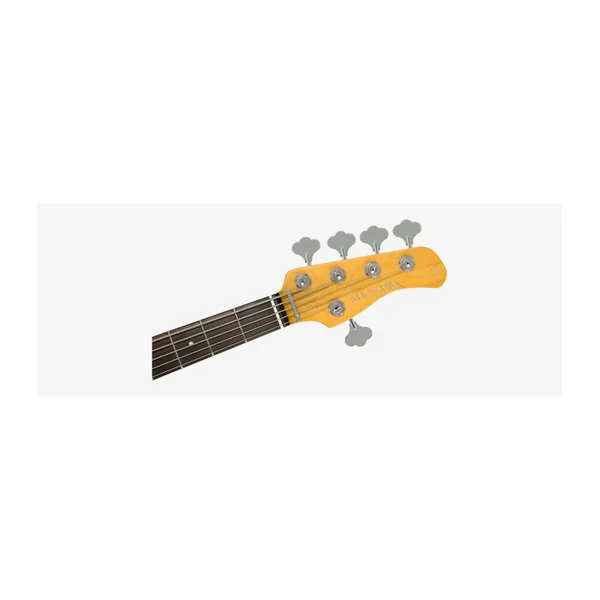 Basse Electrique 5 cordes M. MILLER V6-5 BK