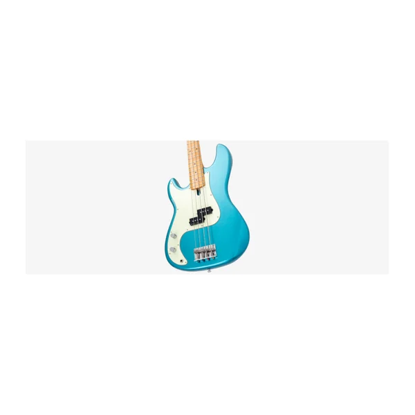 Basse Electrique Gaucher M. Miller P5 Alder-4 LH TP