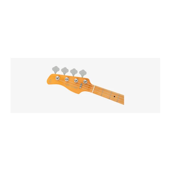 Basse Electrique Gaucher M. Miller P5 Alder-4 LH TP