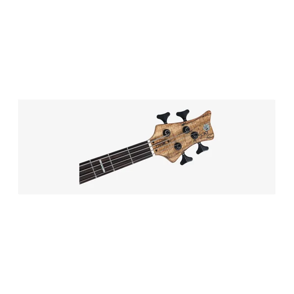 Basse Electrique M. MILLER F10 DX 4 NT (Spalted Maple Top)