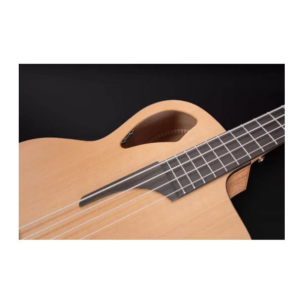 Basse Electro-Acoustique FURCH 61 CW CM 4 cordes LRB1