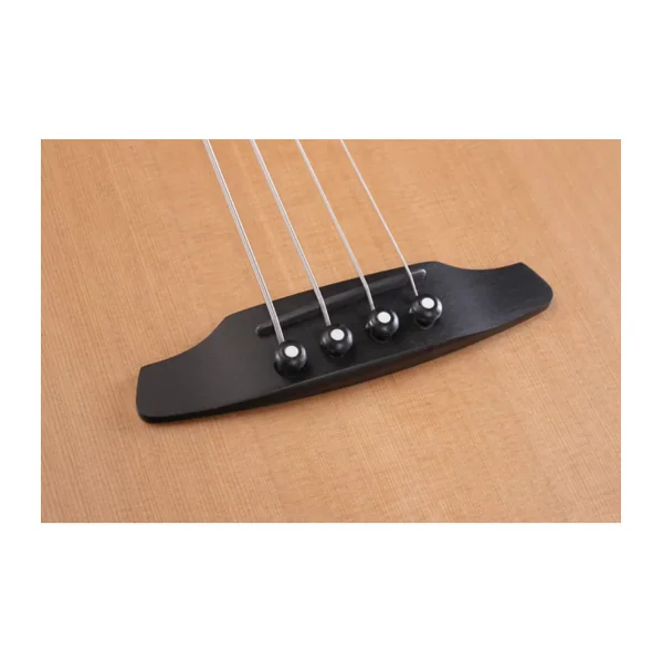 Basse Electro-Acoustique FURCH 61 CW CM 4 cordes LRB1