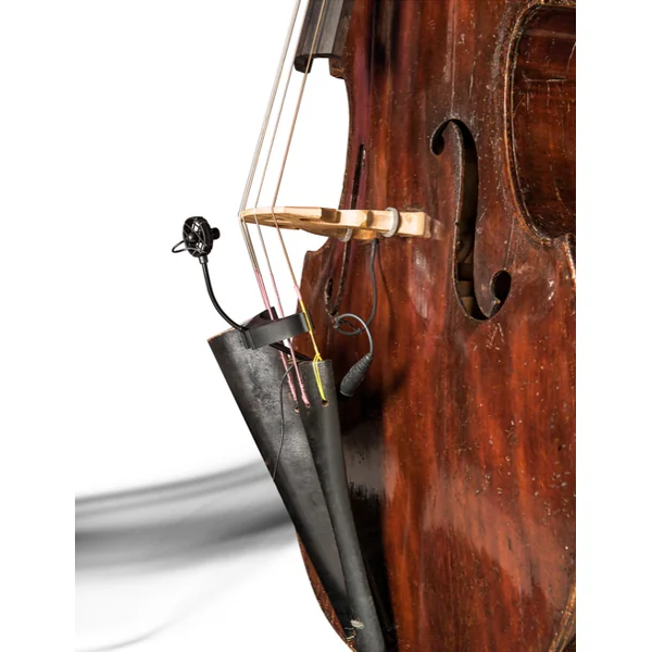 BL21 Lanen Contrebasse