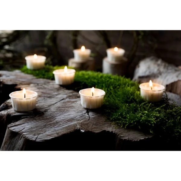 Bougies chauffe-plat en caissette en papier « LIGHT.ONE »