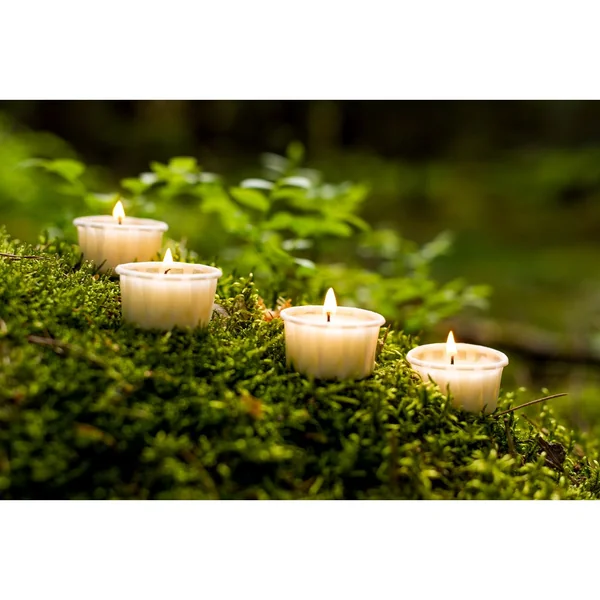 Bougies chauffe-plat en caissette en papier « LIGHT.ONE »