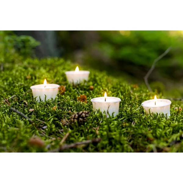 Bougies chauffe-plat en caissette en papier « LIGHT.ONE »