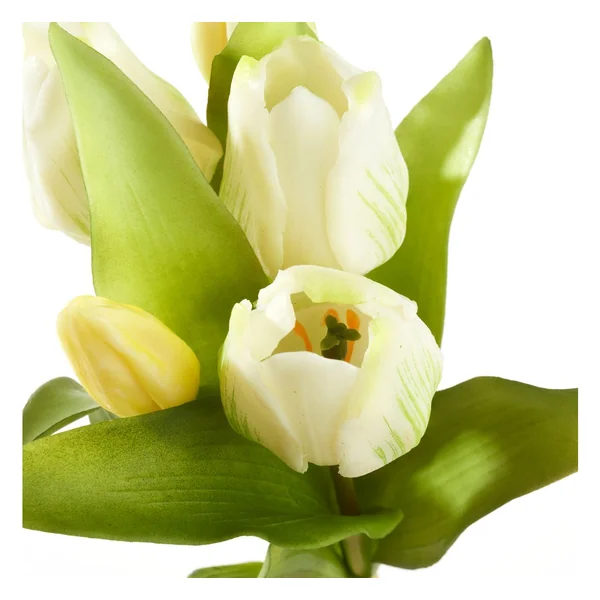 Bouquet de tulipes 3 fleurs et 2 bourgeons