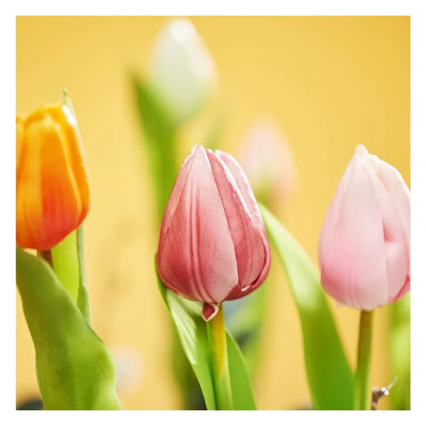 Bouquet de tulipes 3 fleurs et 2 bourgeons