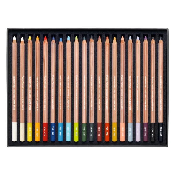 Boîte de 20 Crayons pastel Pencil