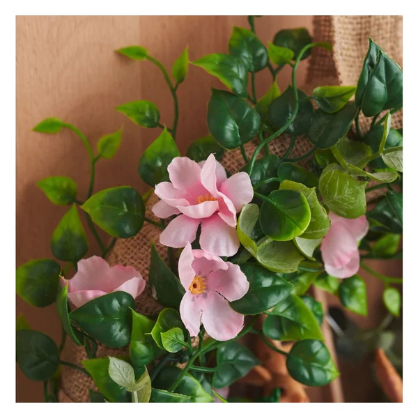 Branche de fleurs de pommier