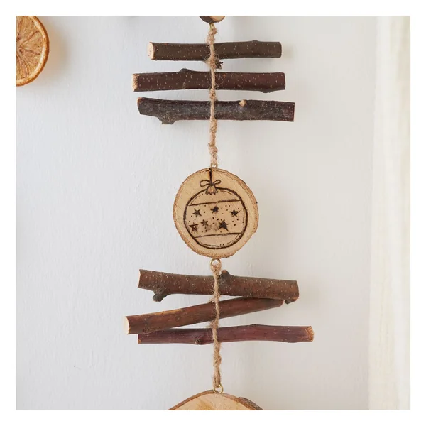 Branches de bouleau, 20 pc.