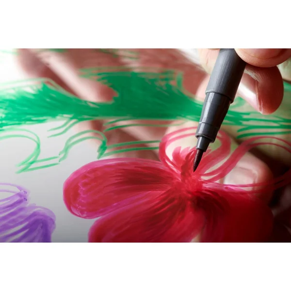Brush Pens STAEDTLER, set de 4