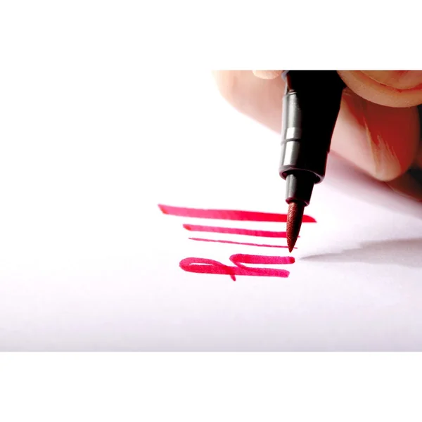 Brush Pens STAEDTLER, set de 4