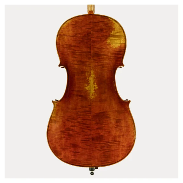 CELLO JAY HAIDE ANTIGUIZADO