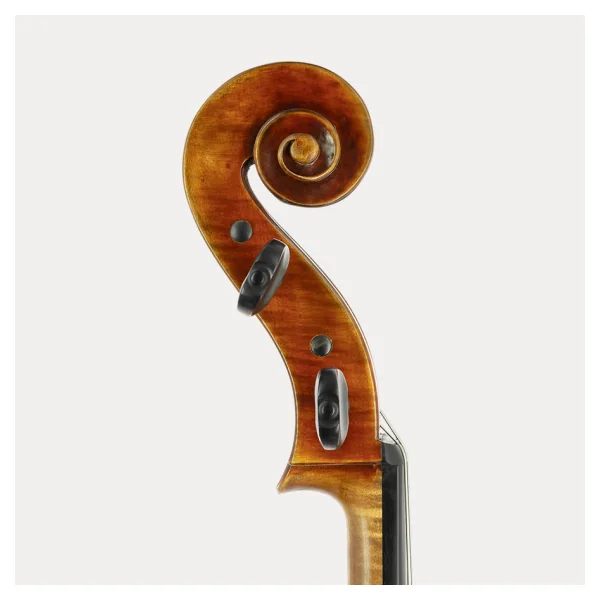 CELLO JAY HAIDE ANTIGUIZADO