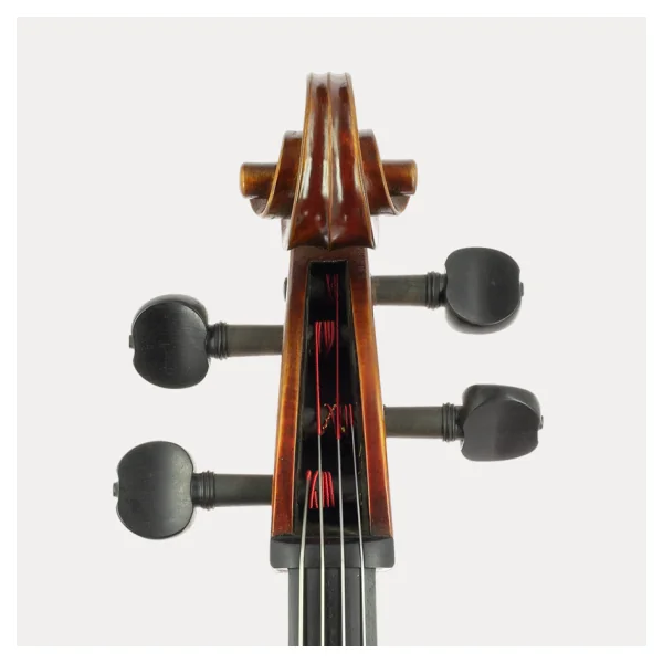 CELLO JAY HAIDE ANTIGUIZADO