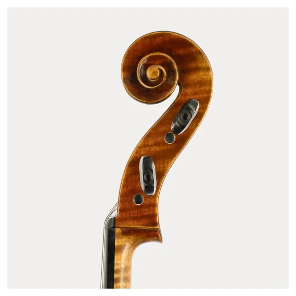 CELLO JAY HAIDE RUGGIERI