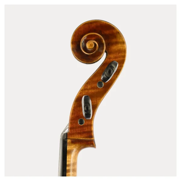 CELLO JAY HAIDE RUGGIERI