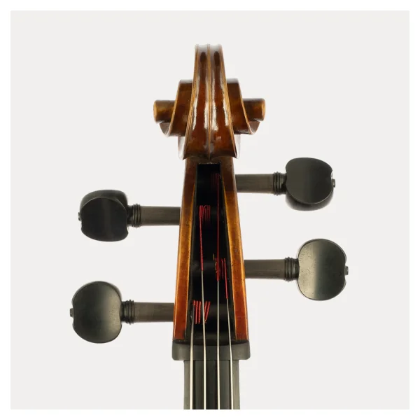 CELLO JAY HAIDE RUGGIERI