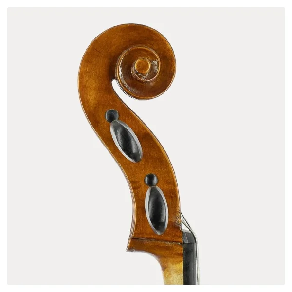 CELLO LUTHIER VIDAL ÉTUDE+