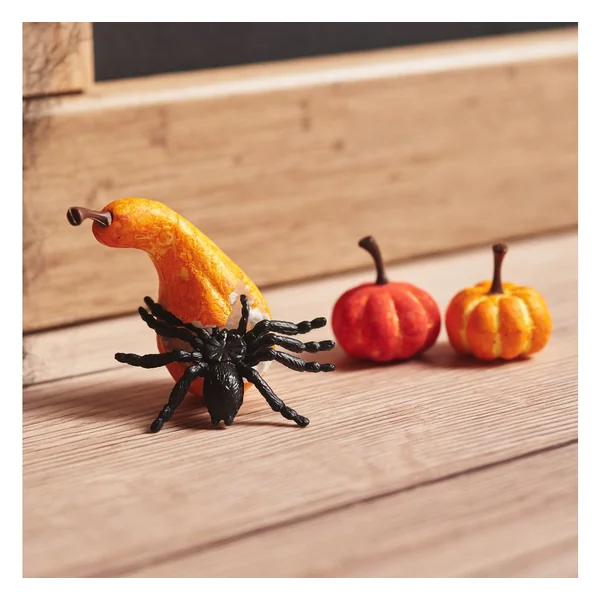 Citrouilles miniatures