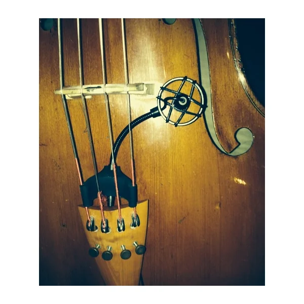 CL21 Lanen Cello