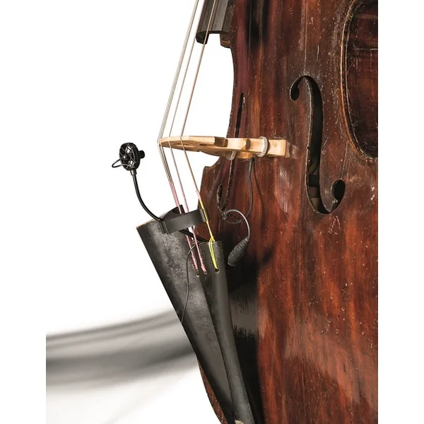 CL21 Lanen Cello