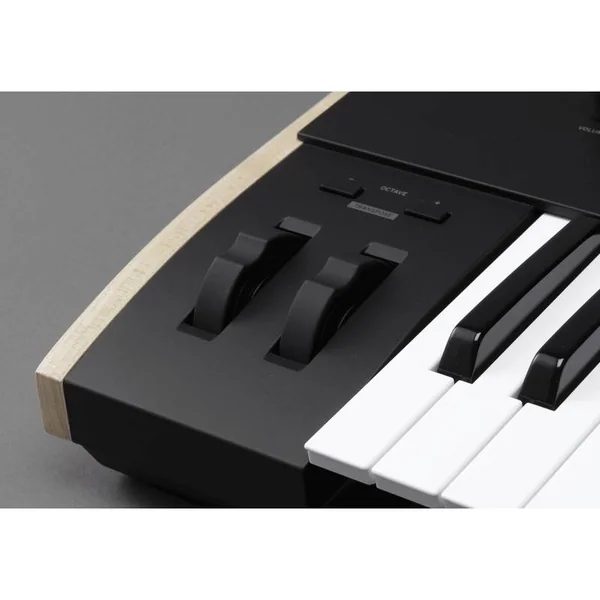 Clavier KEYSTAGE-49