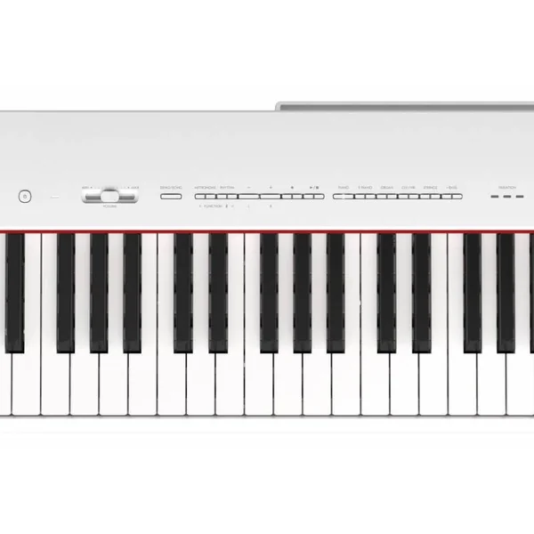 Clavier P-225wh + Support L-200wh