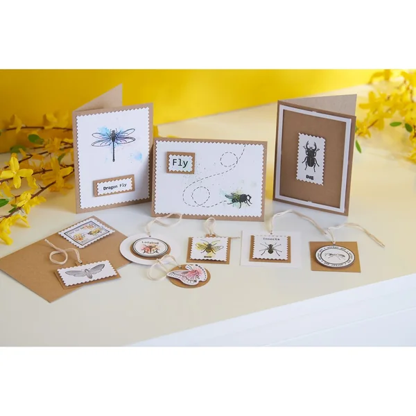 Coffret aquarelle AKADEMIE Schmincke, 24 godets entiers