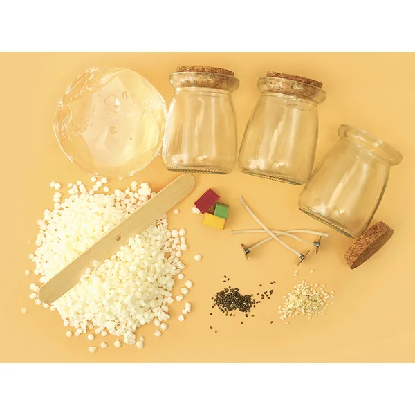 Coffret kit DIY bougies fruitées 3 designs Graine Creative
