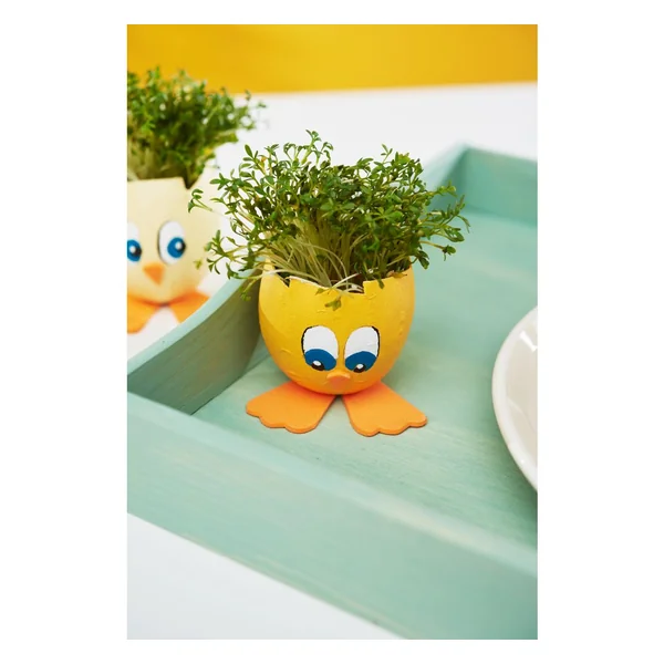 Coquilles d'œuf en papier mâché, étanches