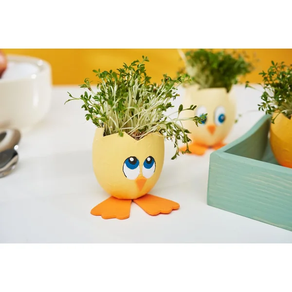Coquilles d'œuf en papier mâché, étanches