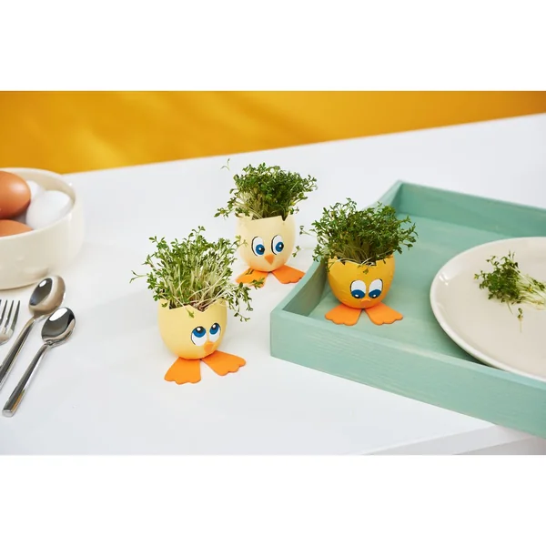 Coquilles d'œuf en papier mâché, étanches